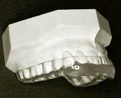 device_ortho_r1_c12